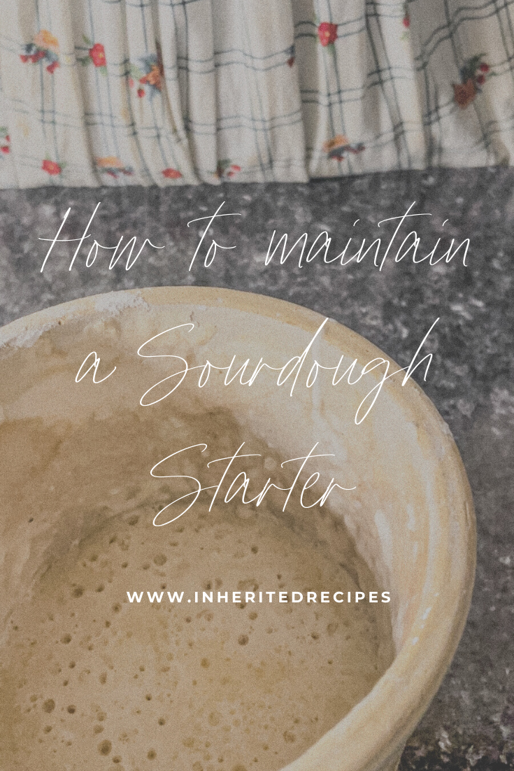 How To Maintain A Sourdough Starter - Inherited Recipes